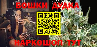 прущие грибы Заводоуковск