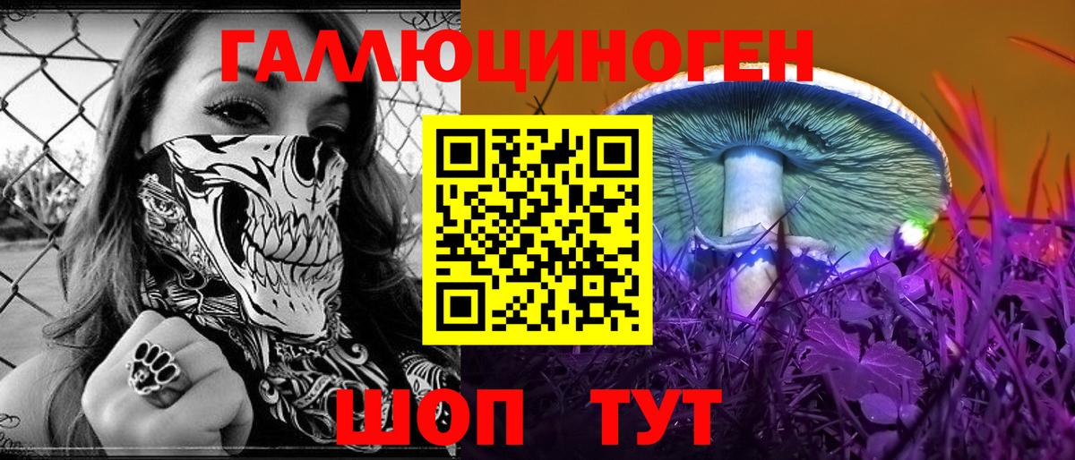 продажа наркотиков  Вход с VPN  Михайловск  Псилоцибиновые грибы Magic Shrooms 